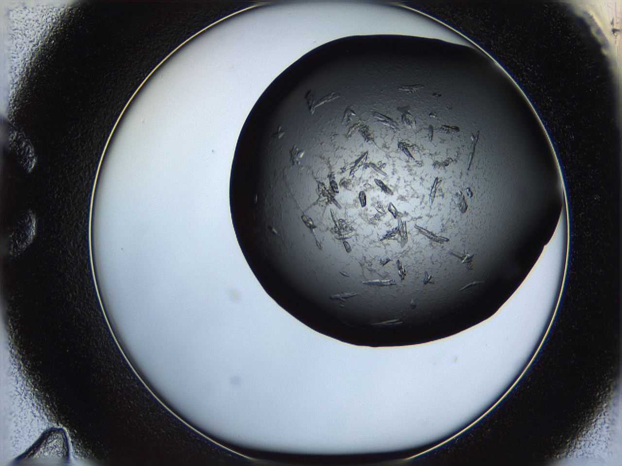 069l_C11_ImagerDefaults_7.jpg