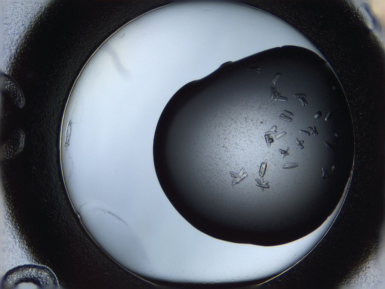 069l_C12_ImagerDefaults_8.jpg