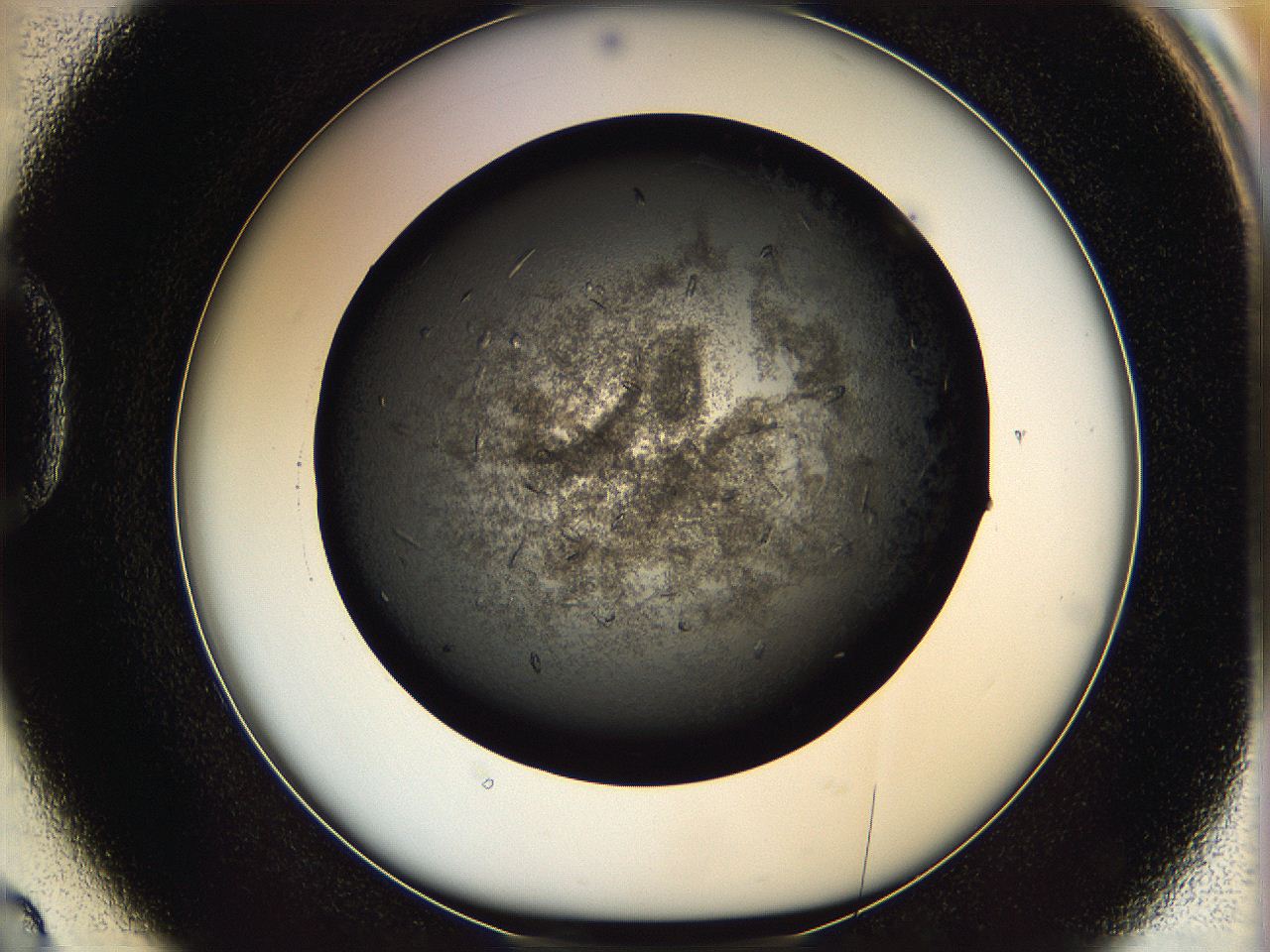 069l_D2_ImagerDefaults_7.jpg