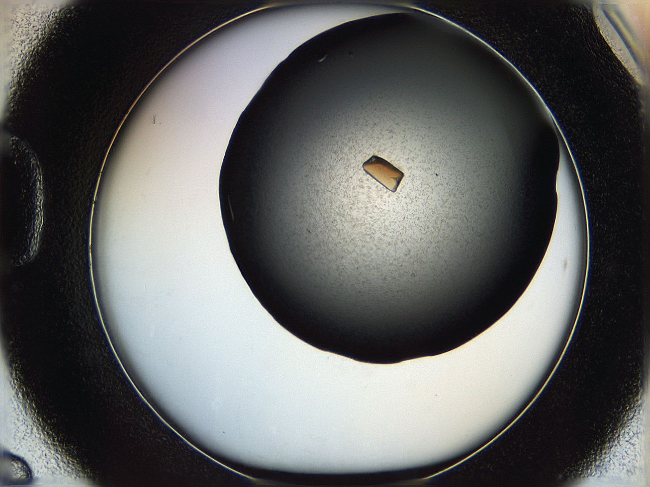 069l_D6_ImagerDefaults_9.jpg