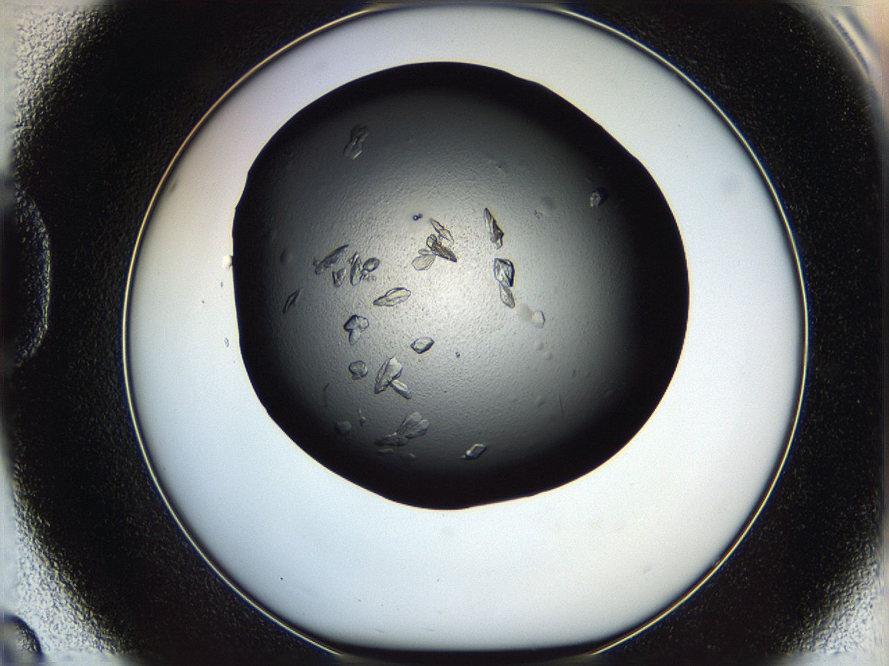 069l_D8_ImagerDefaults_8.jpg