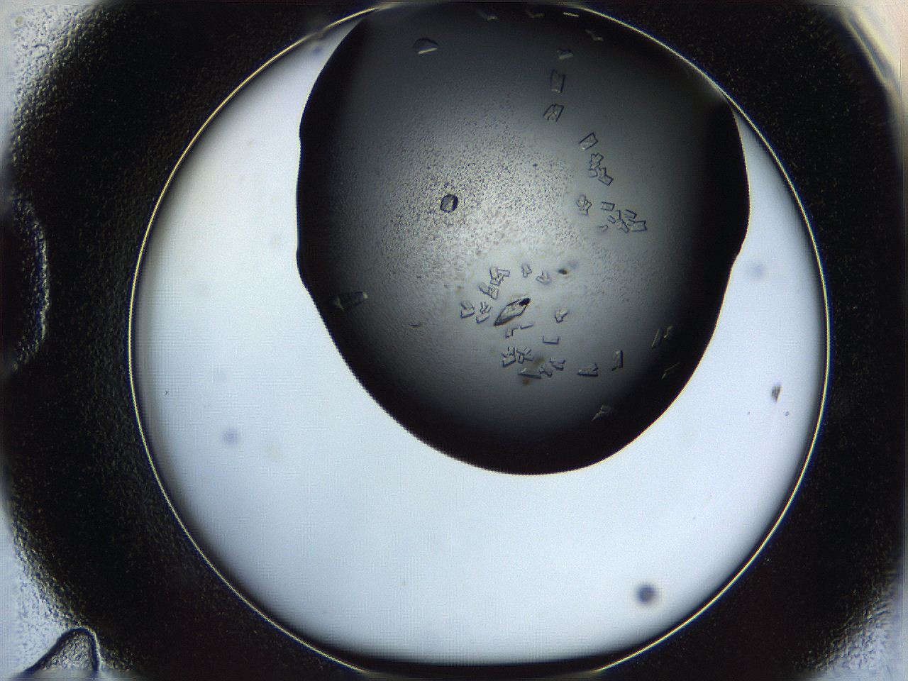 069l_D11_ImagerDefaults_8.jpg