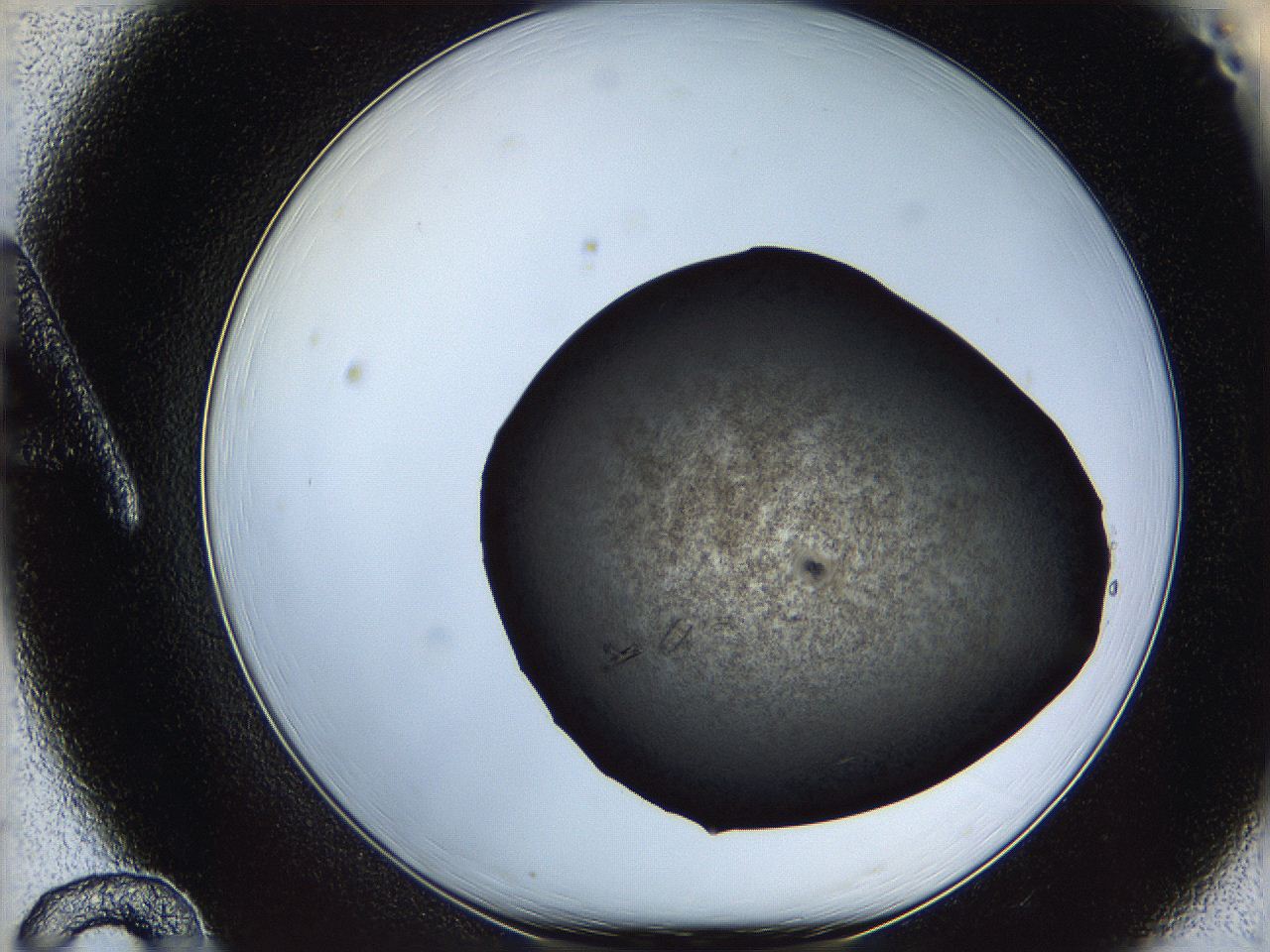 069l_A12_ImagerDefaults_7.jpg