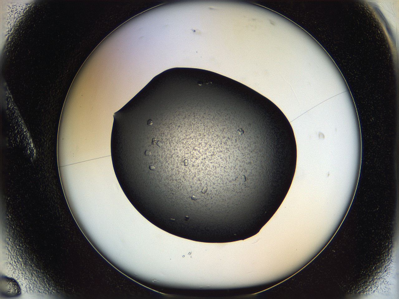 069l_A6_ImagerDefaults_8.jpg