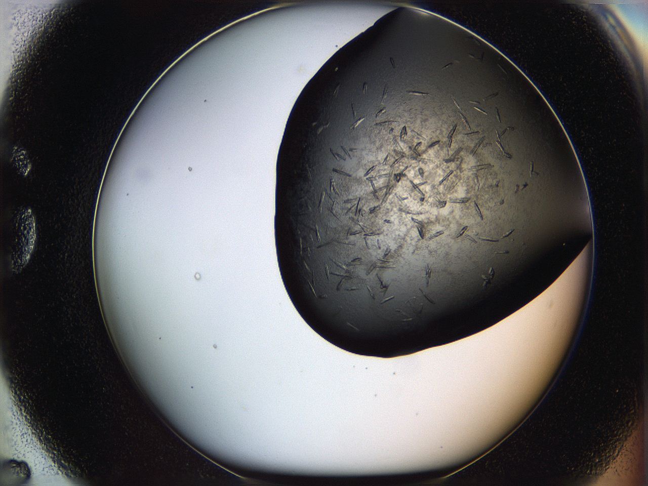 069l_G7_ImagerDefaults_7.jpg