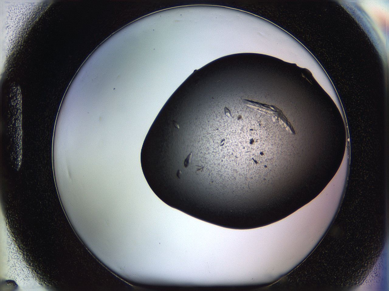 069l_H7_ImagerDefaults_9.jpg