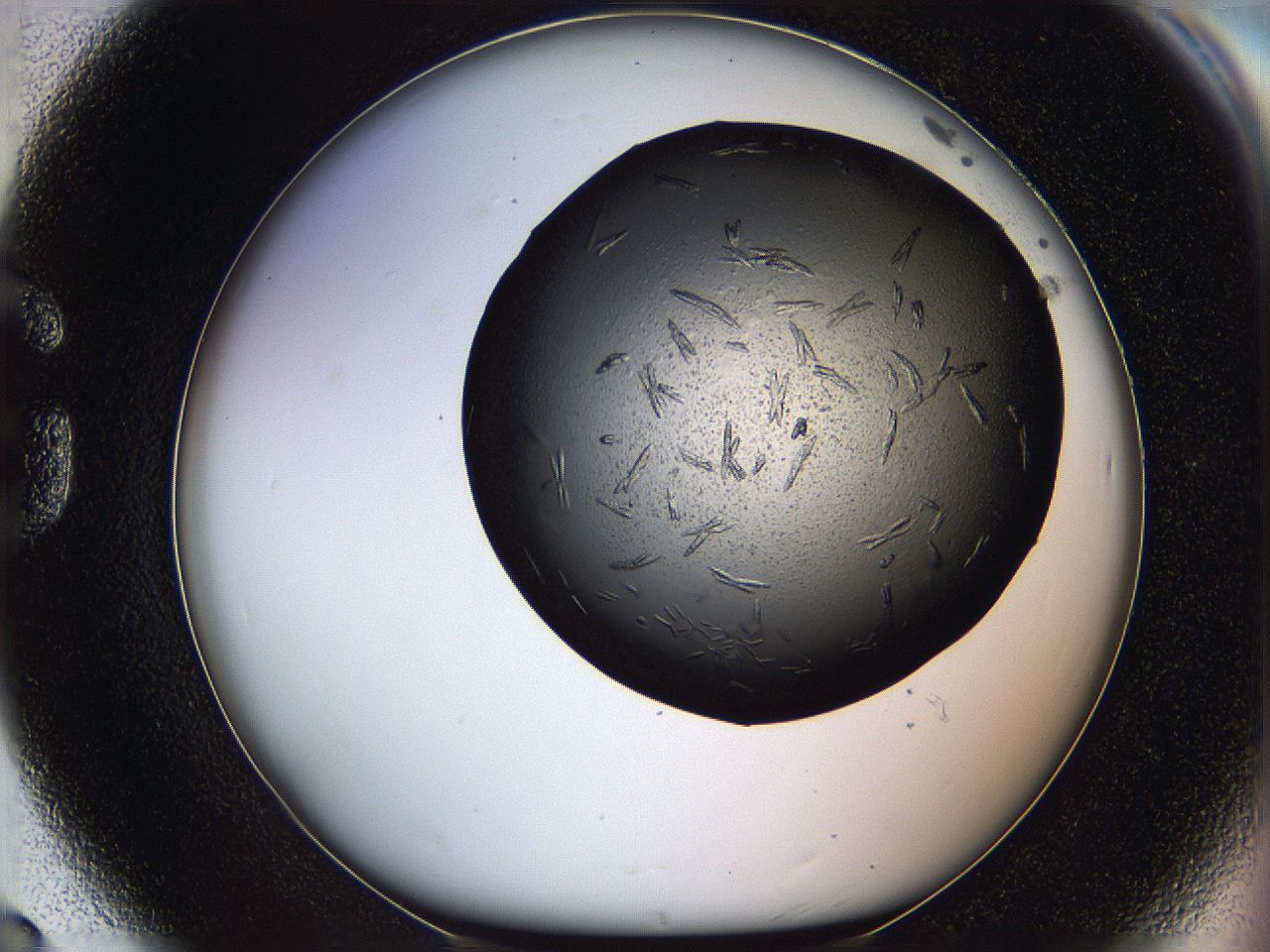 069l_G8_ImagerDefaults_7.jpg