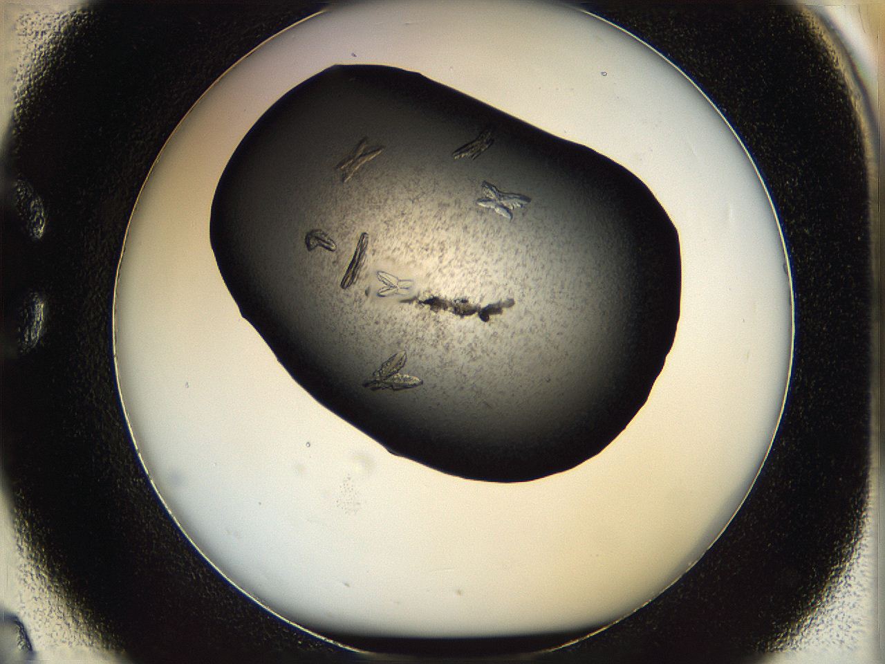 069m_C2_ImagerDefaults_8.jpg