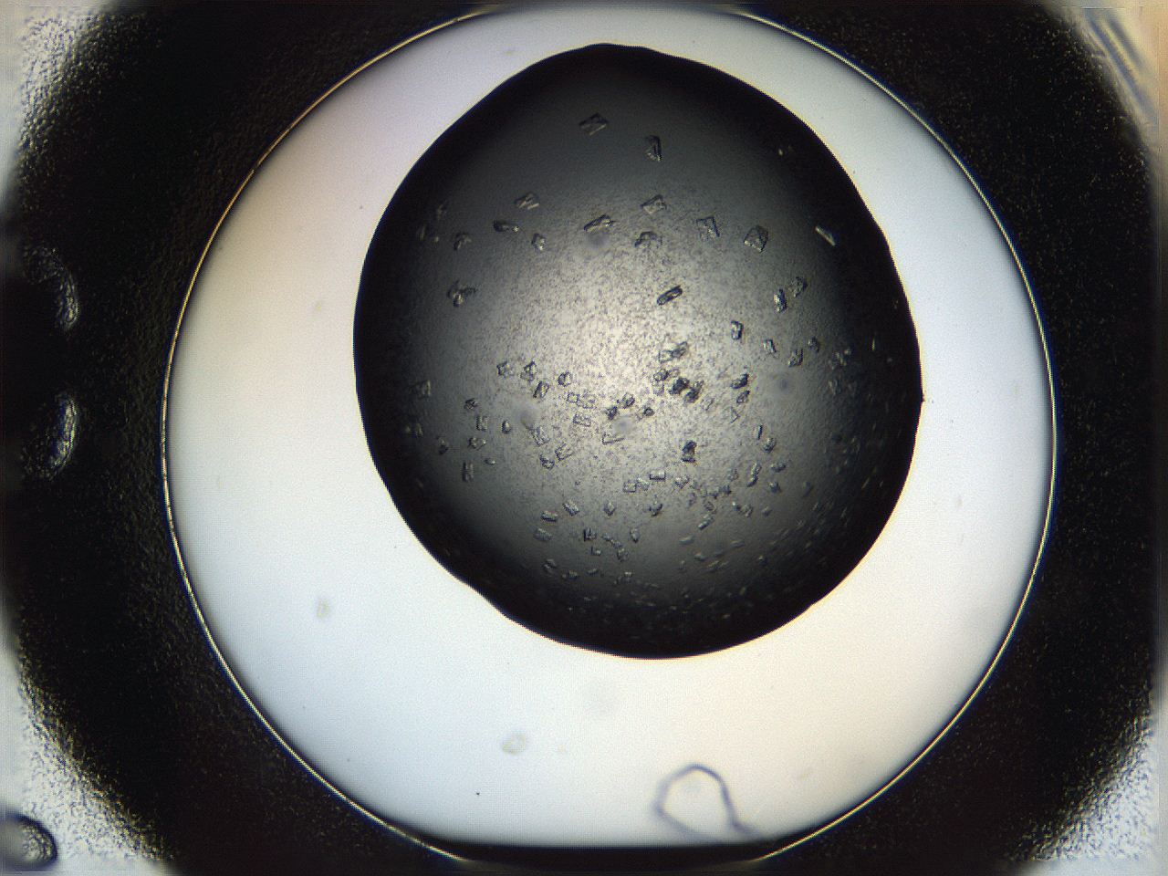 069m_C6_ImagerDefaults_7.jpg