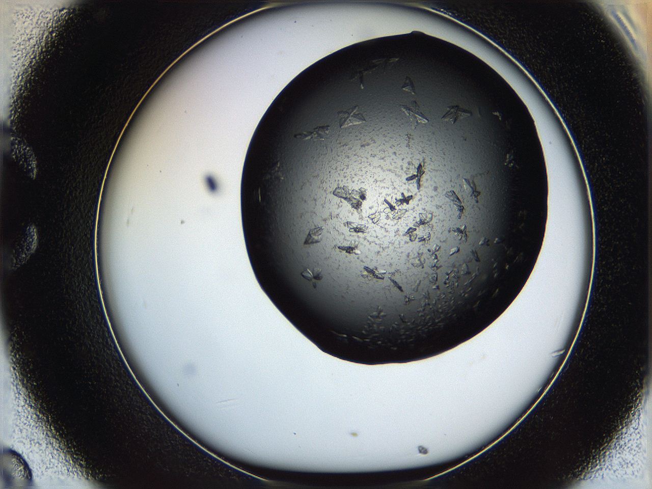 069m_C8_ImagerDefaults_7.jpg