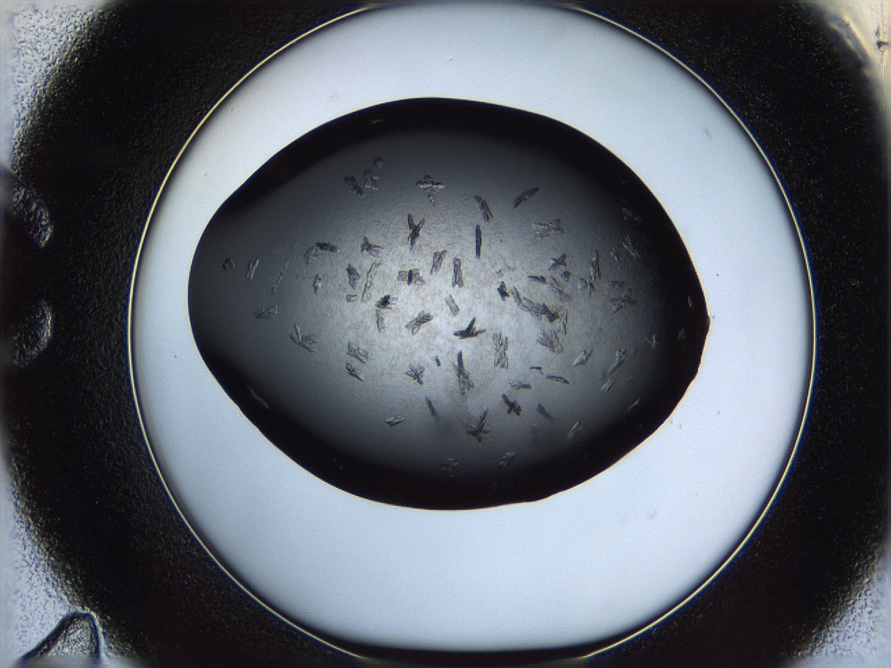 069m_C11_ImagerDefaults_7.jpg