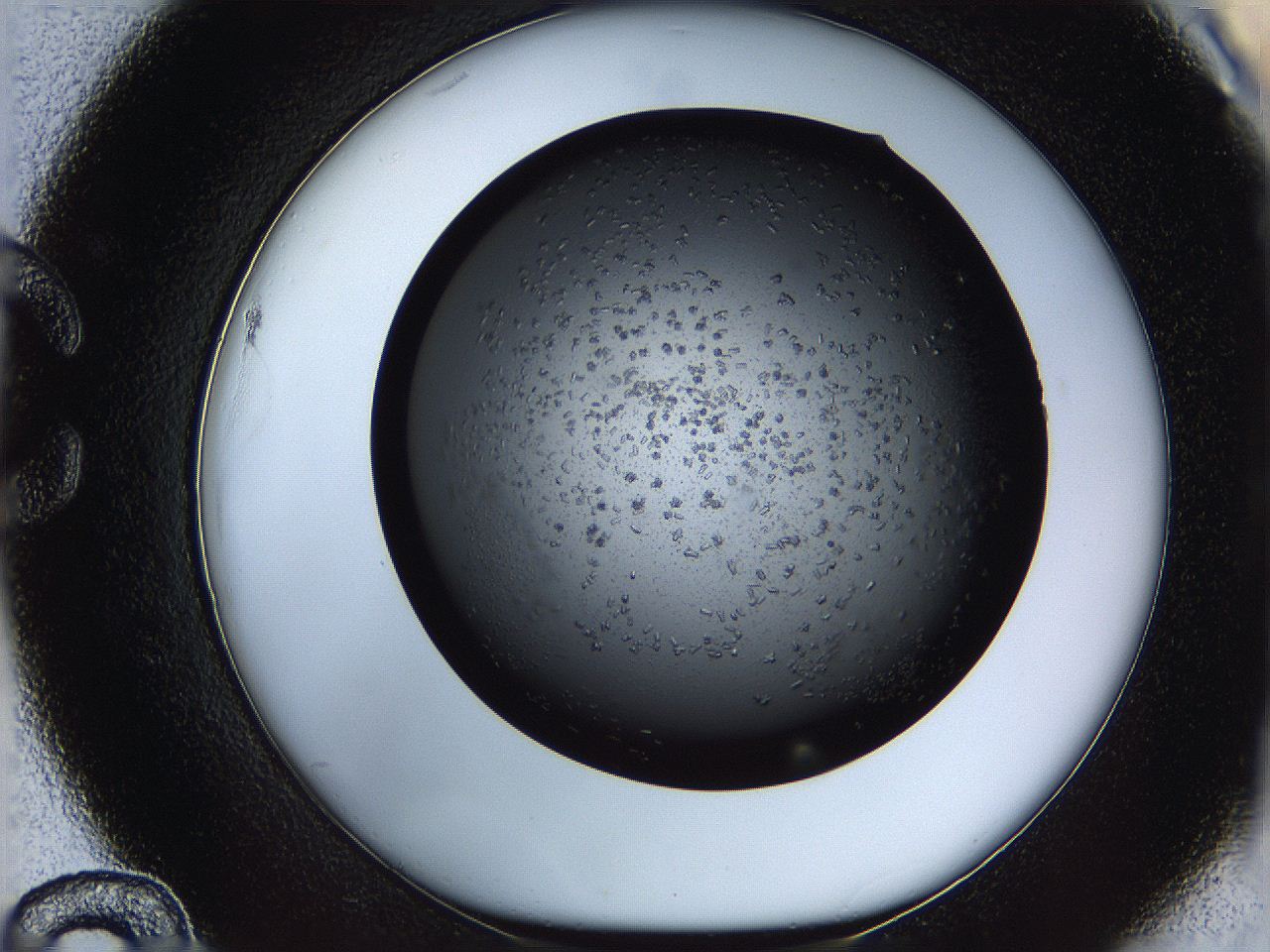 069m_C12_ImagerDefaults_6.jpg