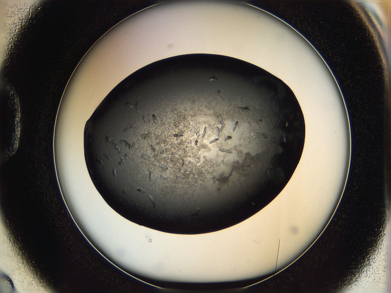 069m_D2_ImagerDefaults_7.jpg