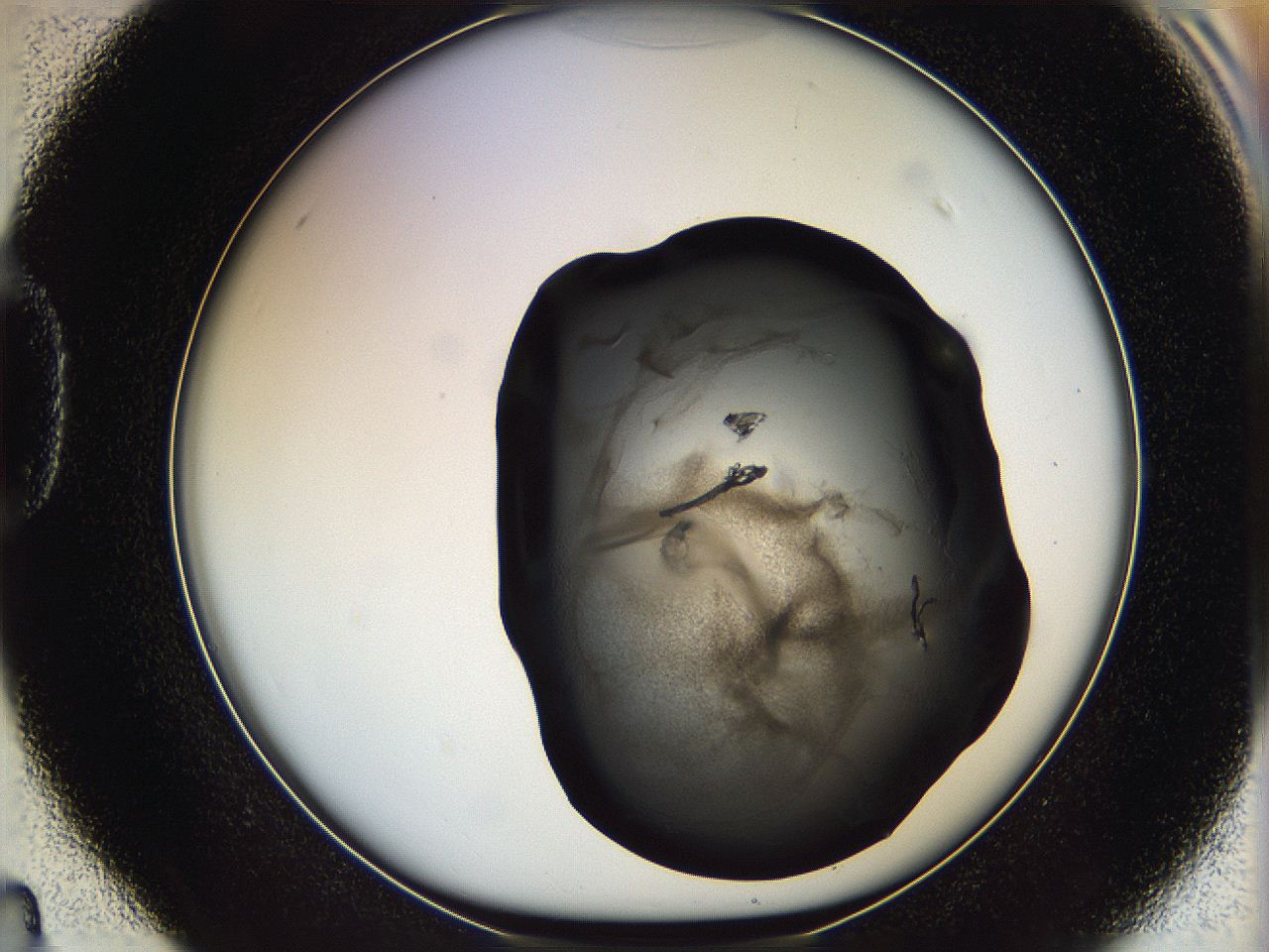 069m_D4_ImagerDefaults_7.jpg