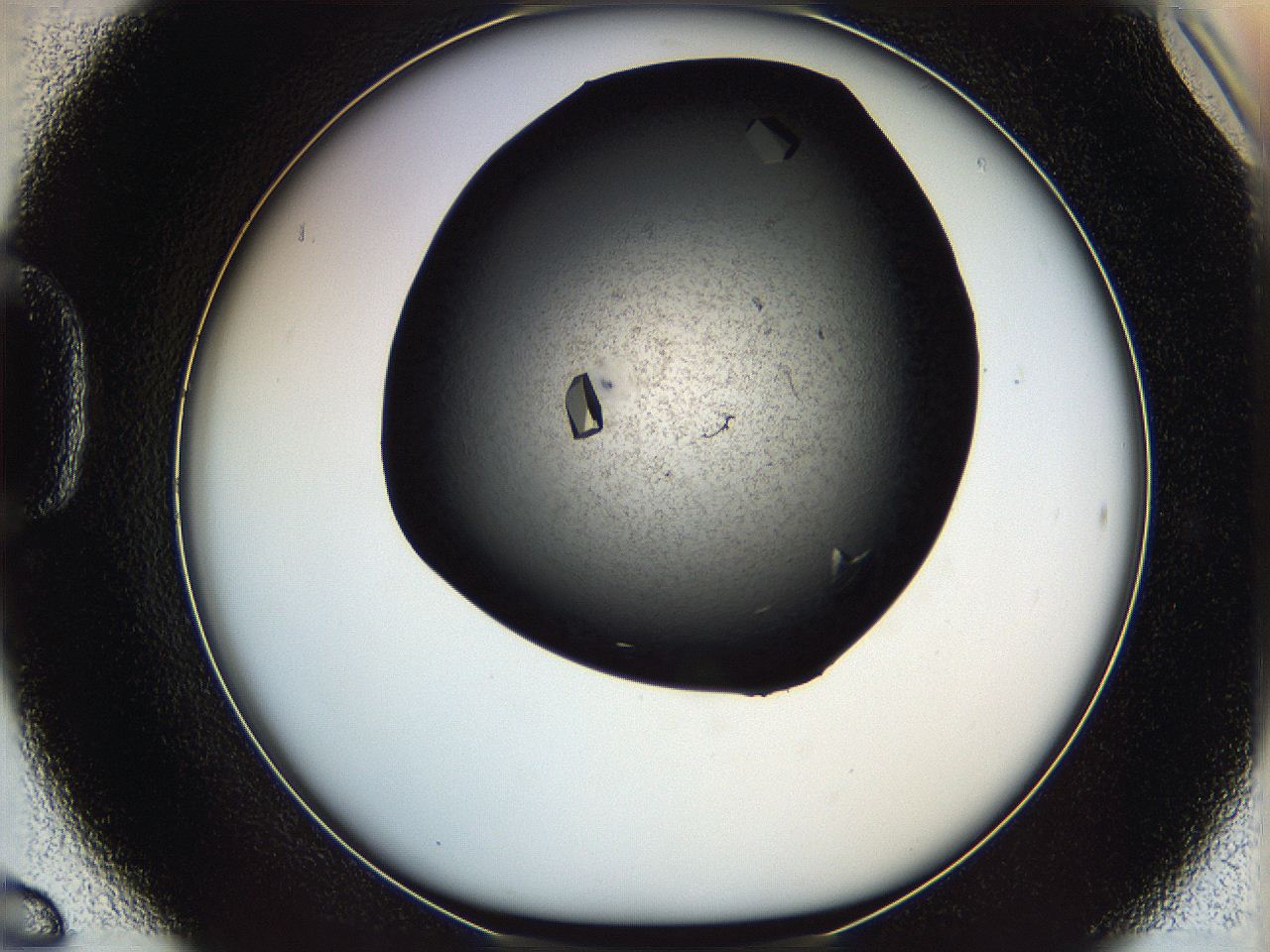 069m_D6_ImagerDefaults_9.jpg