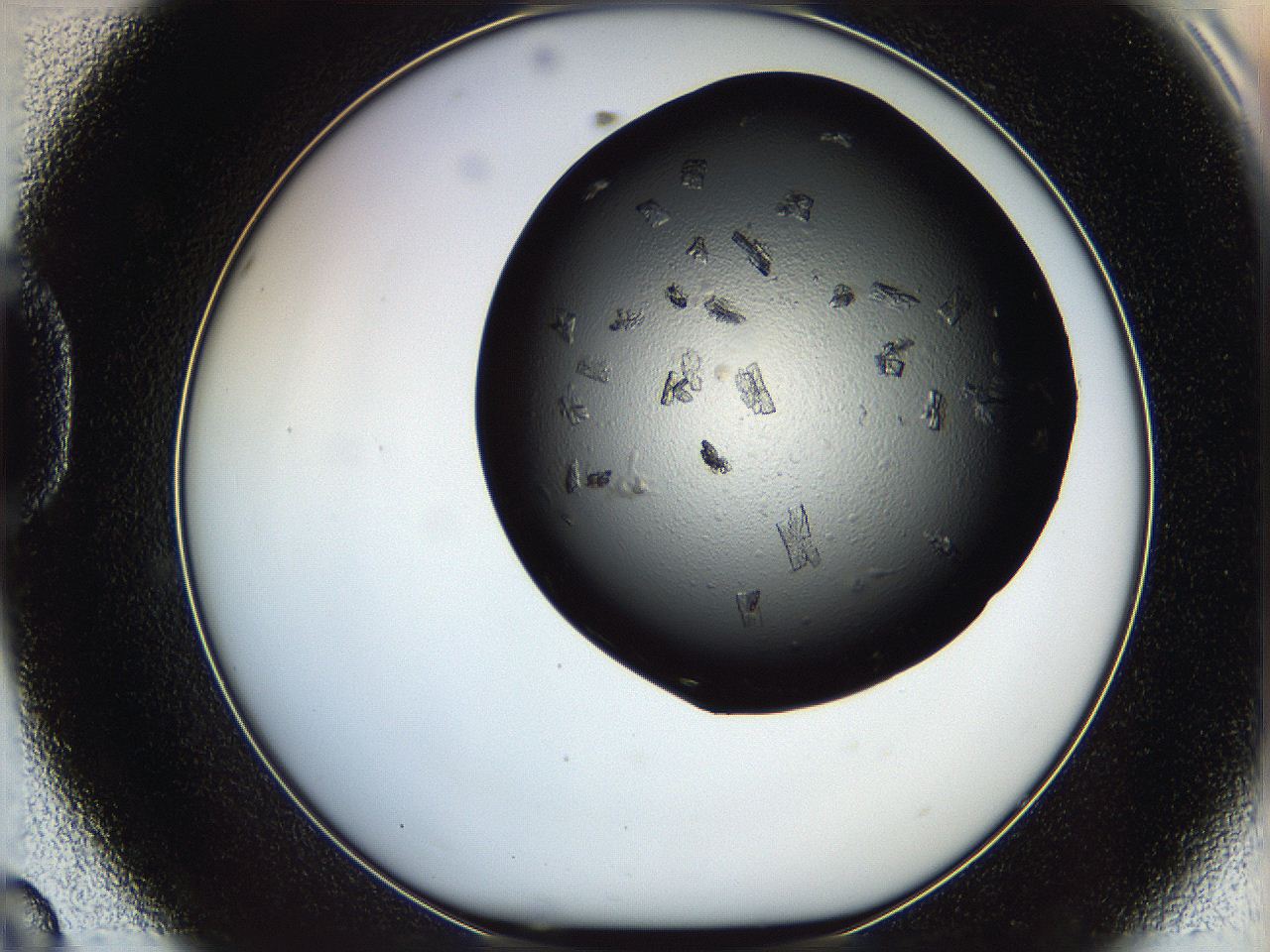 069m_D8_ImagerDefaults_7.jpg