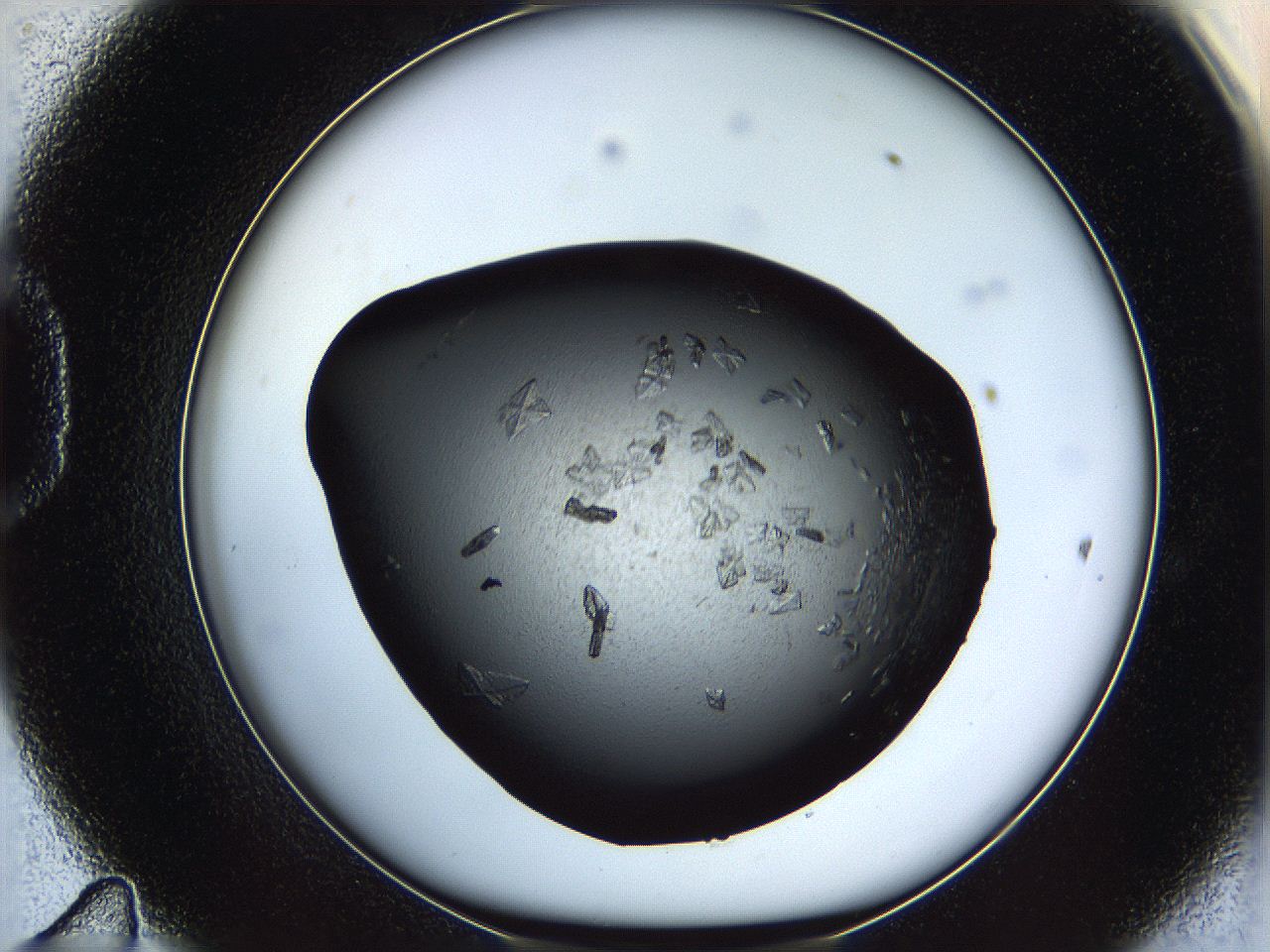 069m_D11_ImagerDefaults_7.jpg