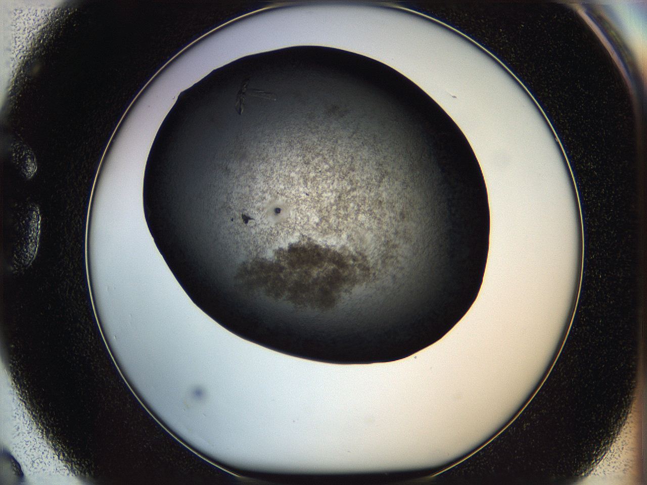 069m_G3_ImagerDefaults_8.jpg