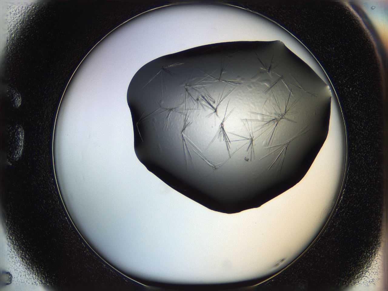 069m_G5_ImagerDefaults_6.jpg