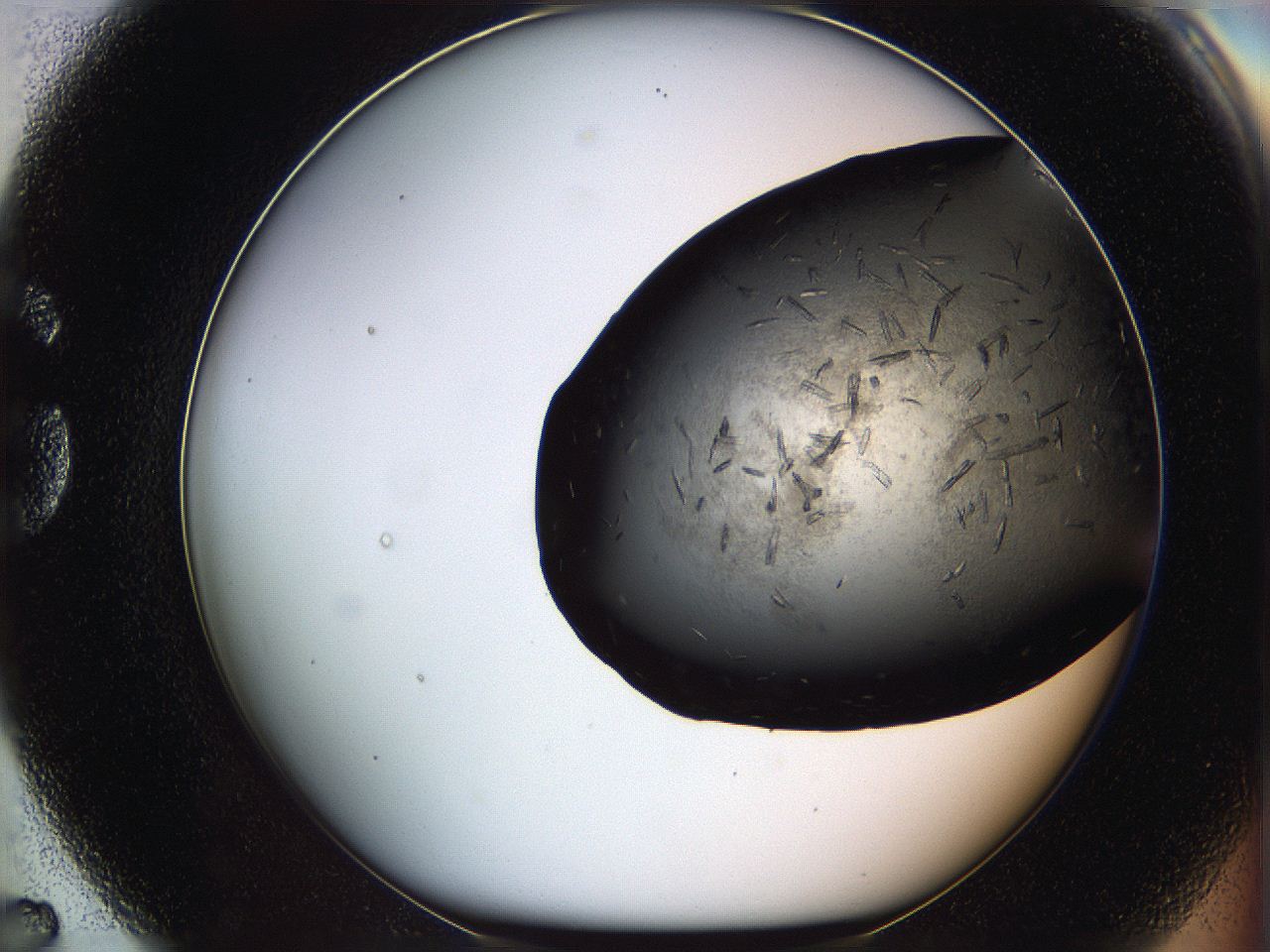 069m_G7_ImagerDefaults_6.jpg