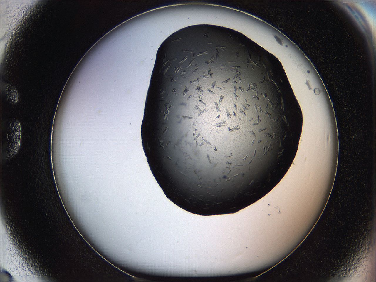069m_G8_ImagerDefaults_6.jpg