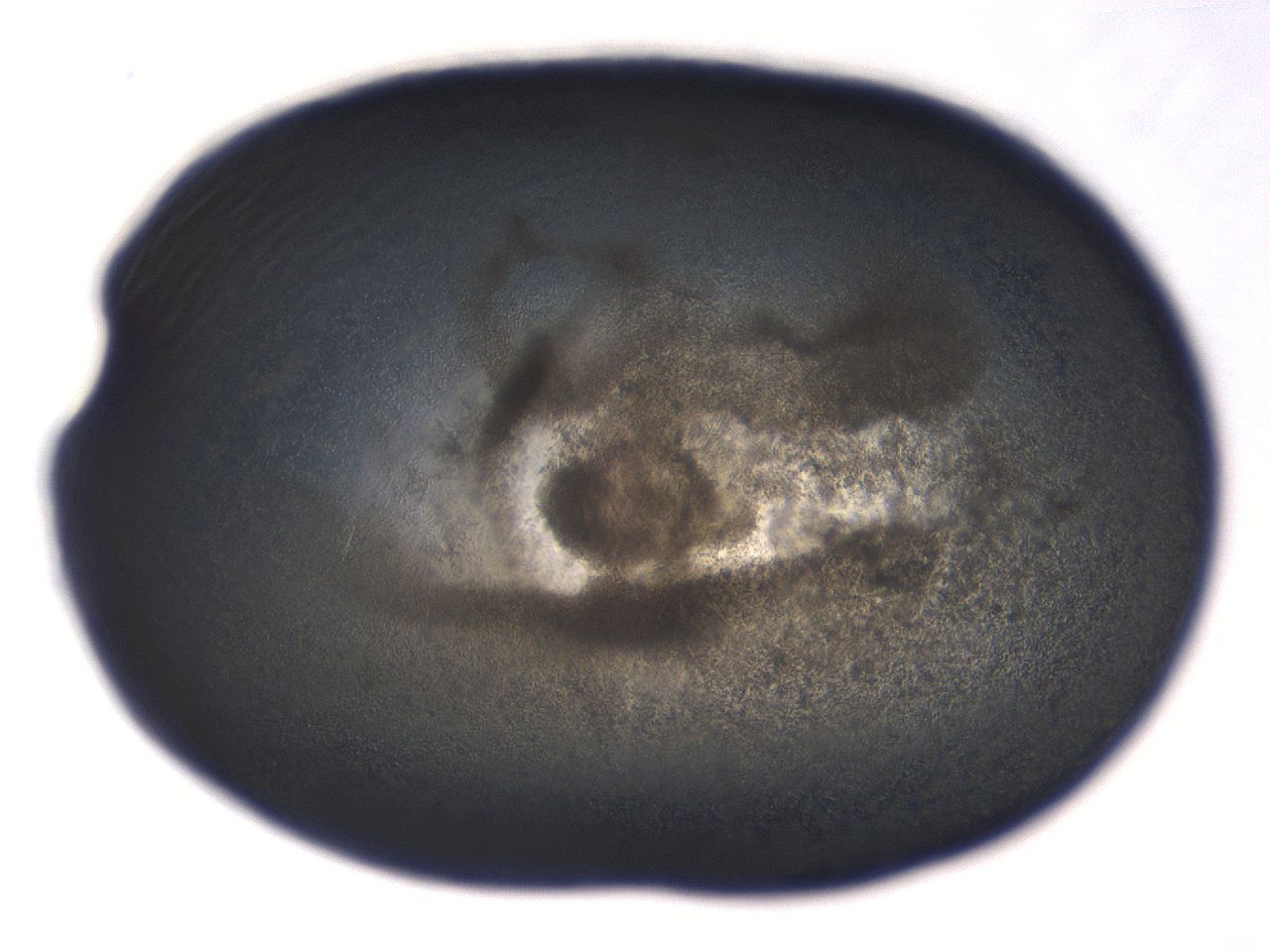 069r_A4_ImagerDefaults_3.jpg