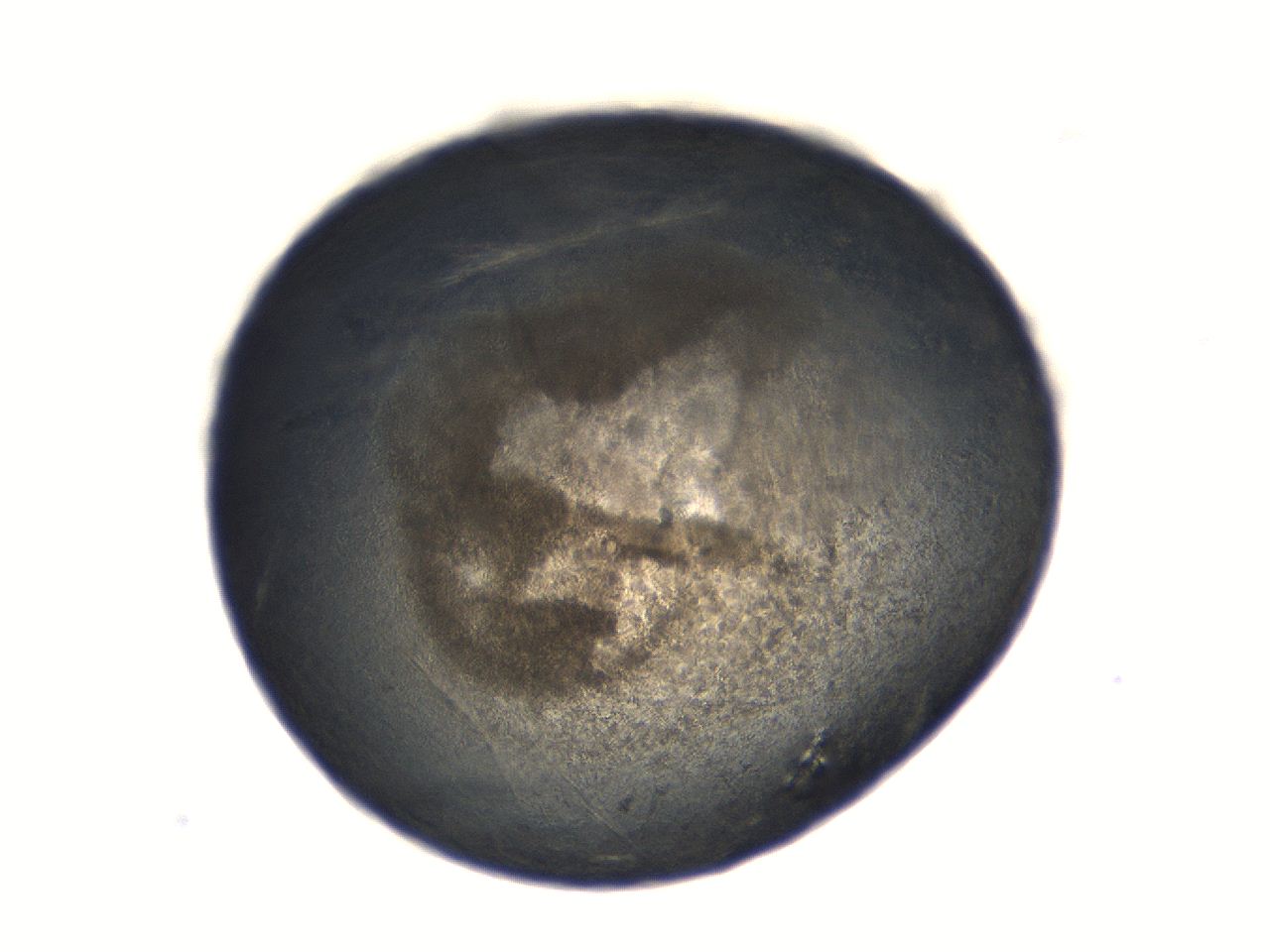 069r_A3_ImagerDefaults_3.jpg