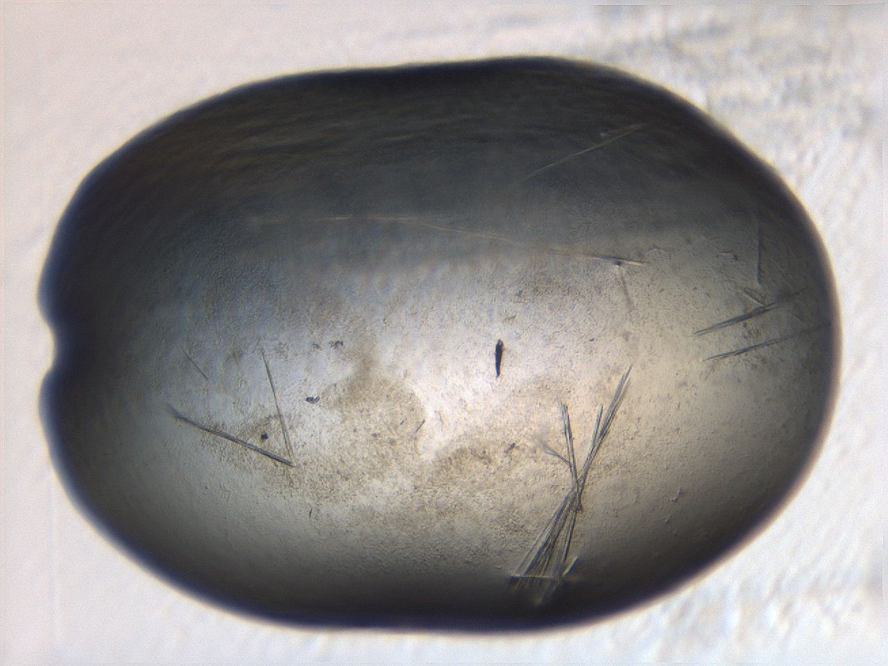 069r_A2_ImagerDefaults_9.jpg