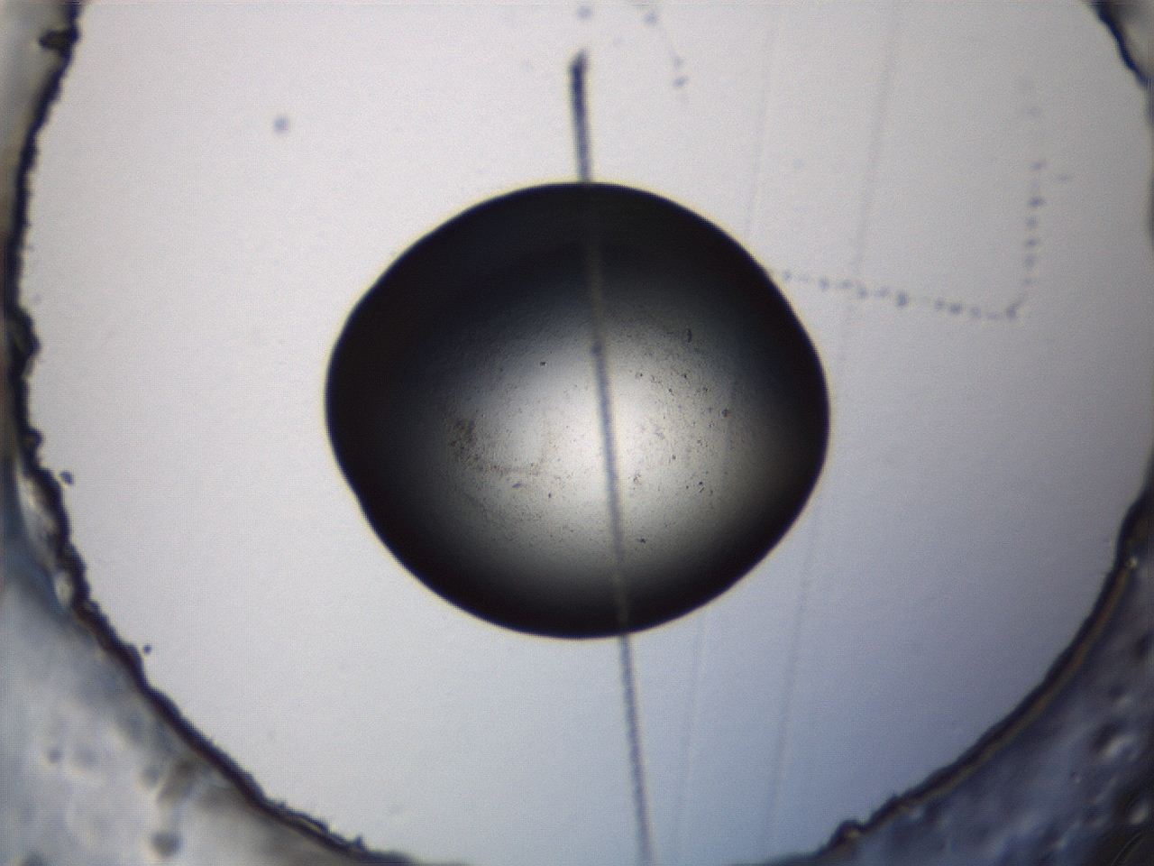 069r_A12_ImagerDefaults_0.jpg