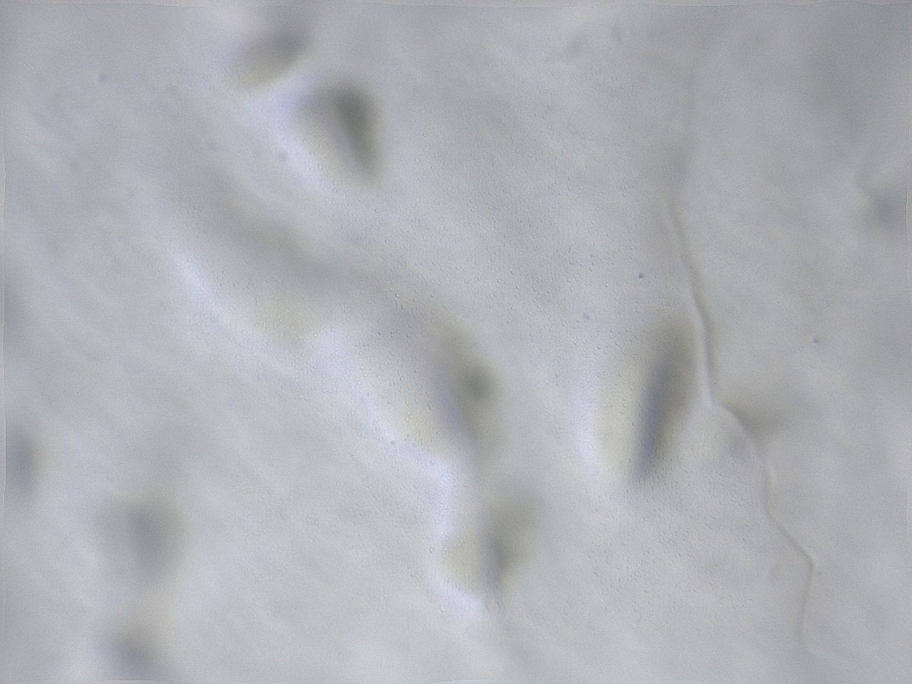 069r_B5_ImagerDefaults_m.jpg