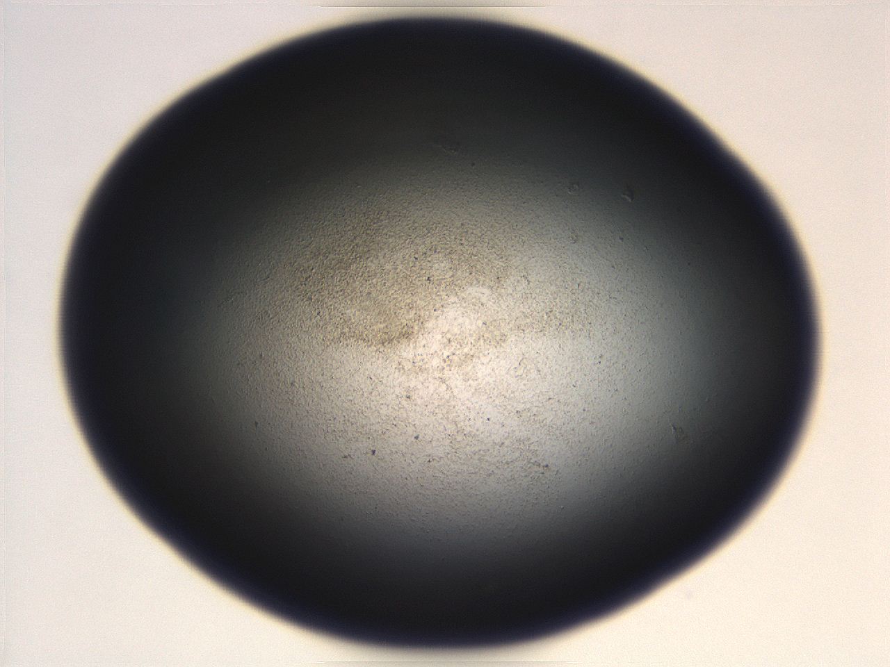 069r_B6_ImagerDefaults_3.jpg