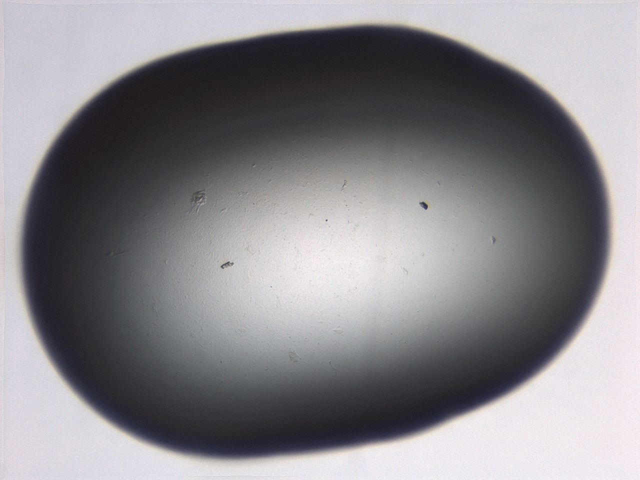 069r_B8_ImagerDefaults_0.jpg