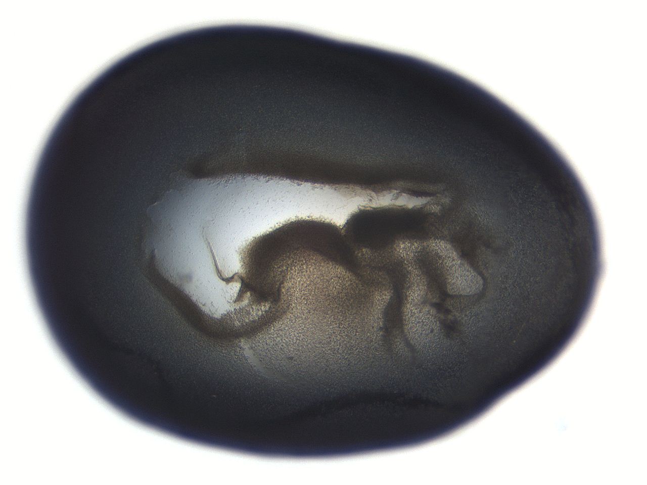 069r_C1_ImagerDefaults_3.jpg
