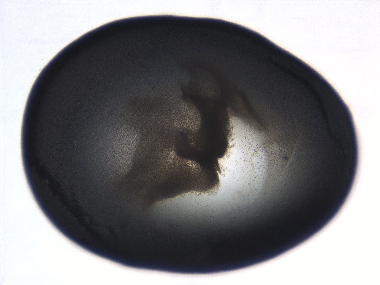 069r_C2_ImagerDefaults_3.jpg