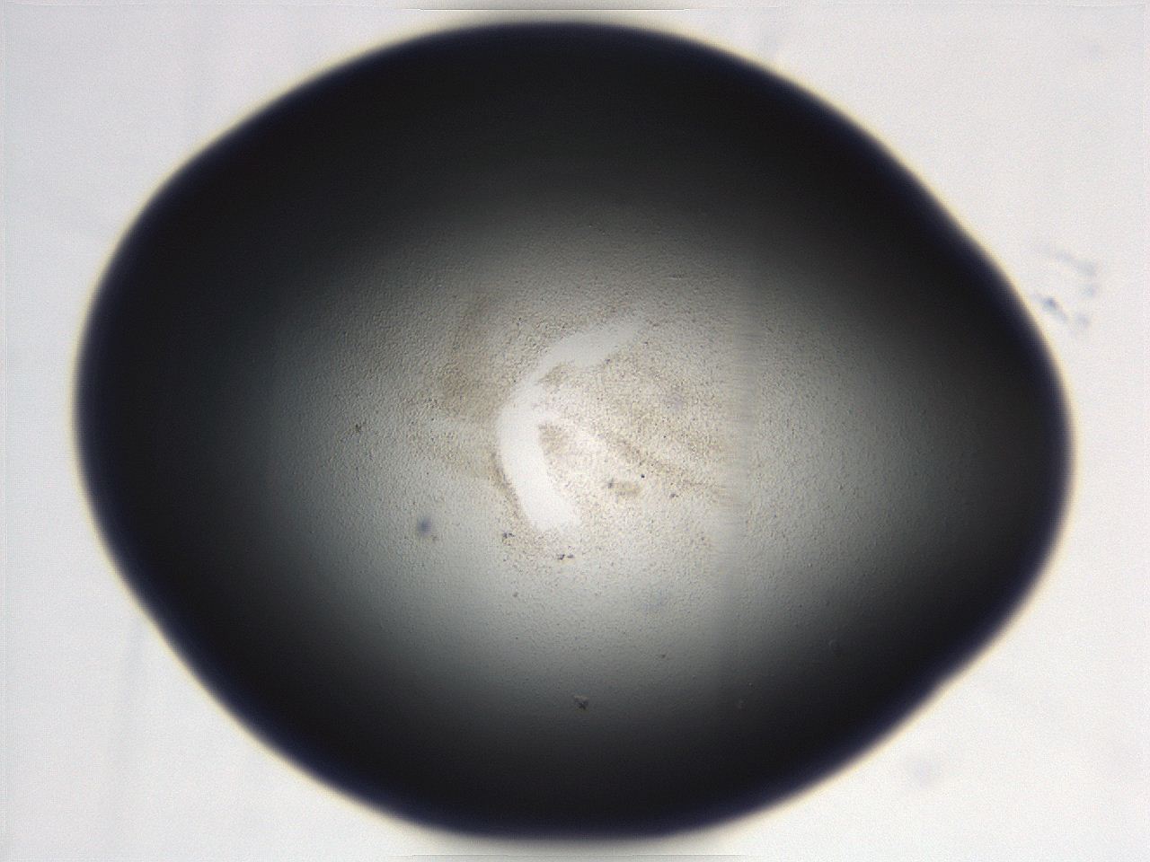 069r_C7_ImagerDefaults_3.jpg