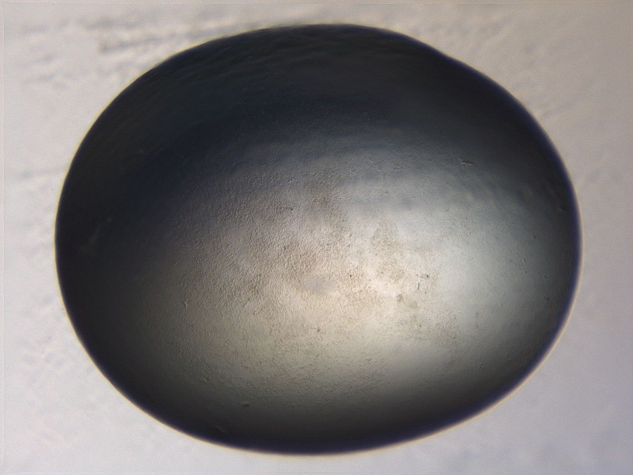 069r_A1_ImagerDefaults_3.jpg