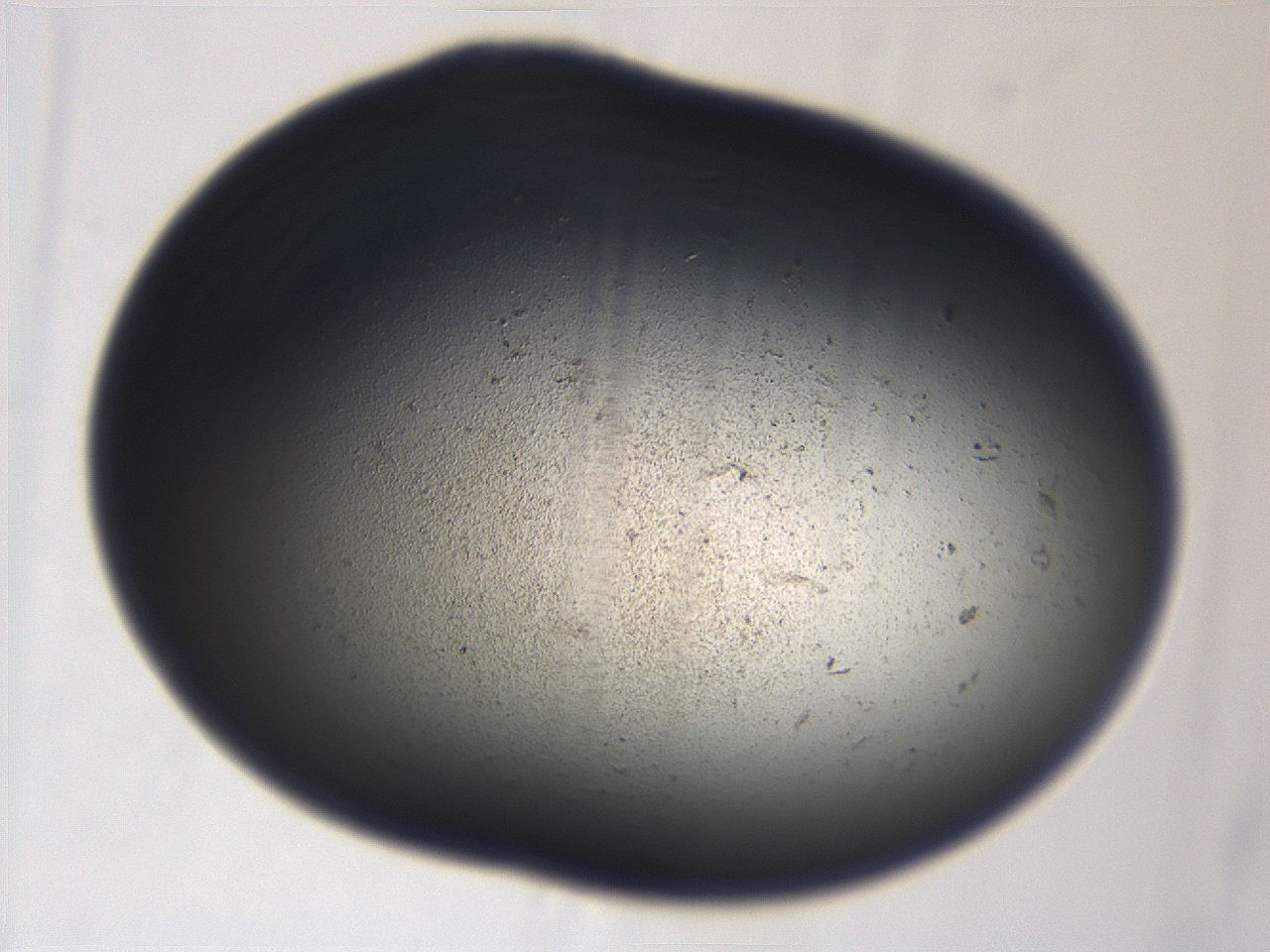 069r_A8_ImagerDefaults_3.jpg