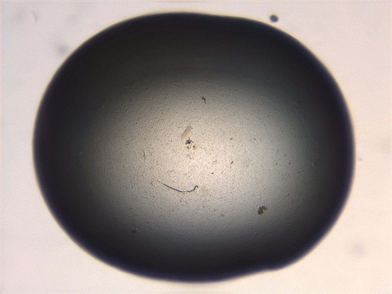 069r_B2_ImagerDefaults_3.jpg