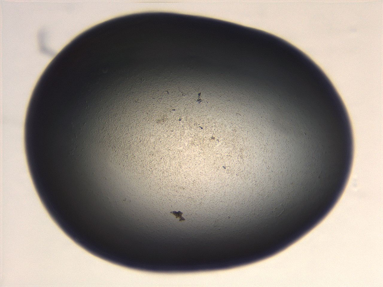 069r_B3_ImagerDefaults_3.jpg