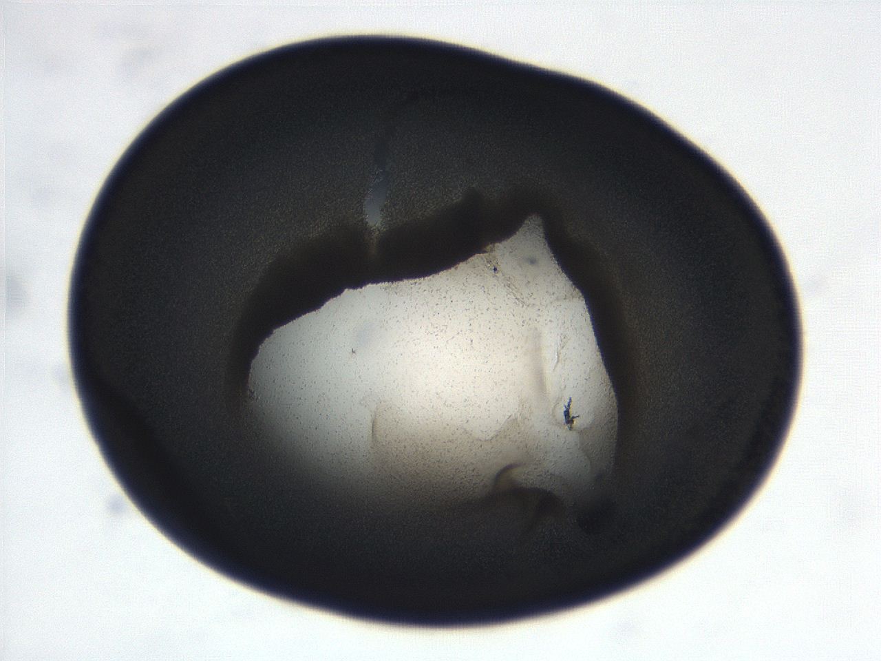 069r_C4_ImagerDefaults_3.jpg