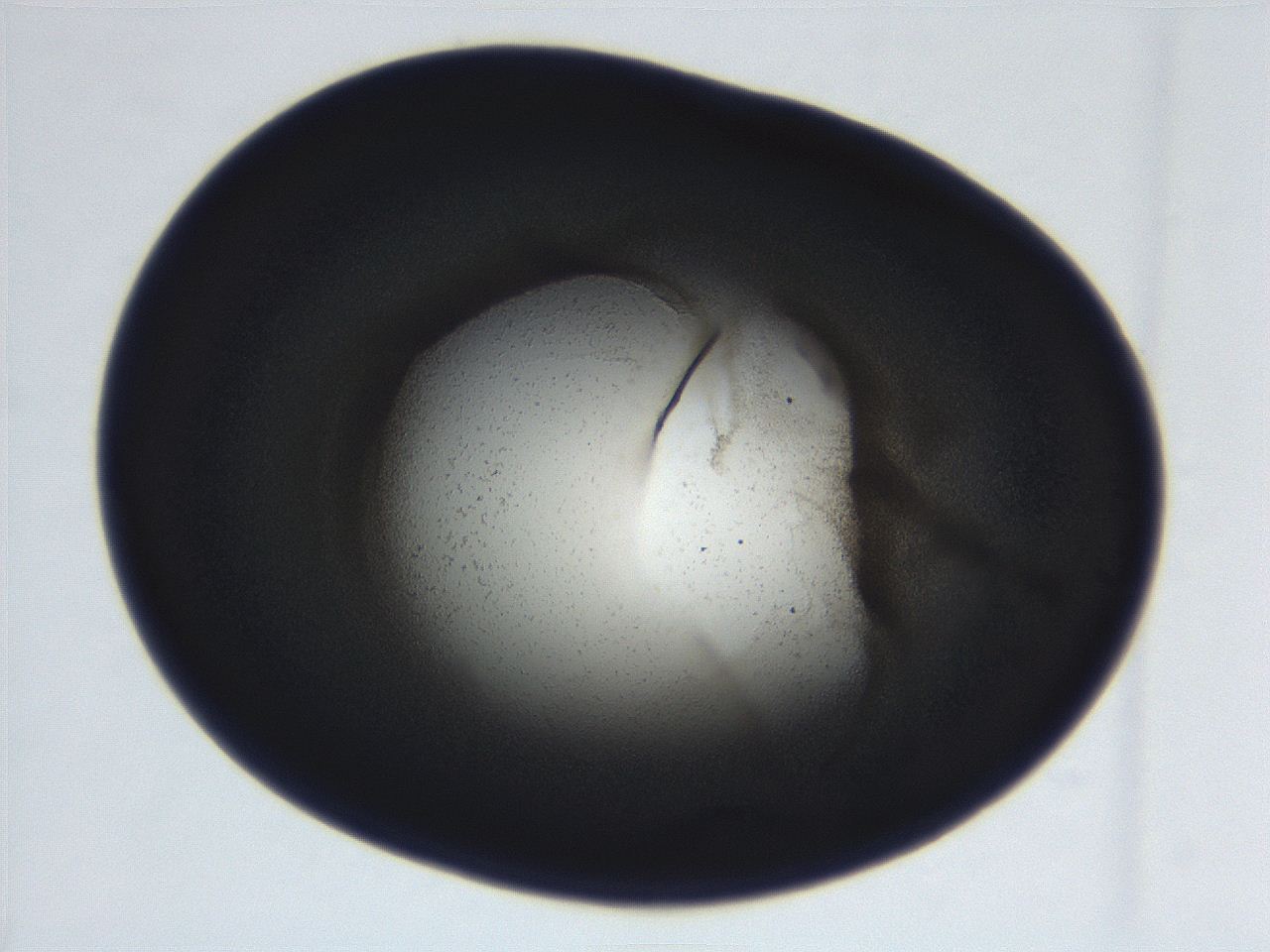 069r_C5_ImagerDefaults_3.jpg
