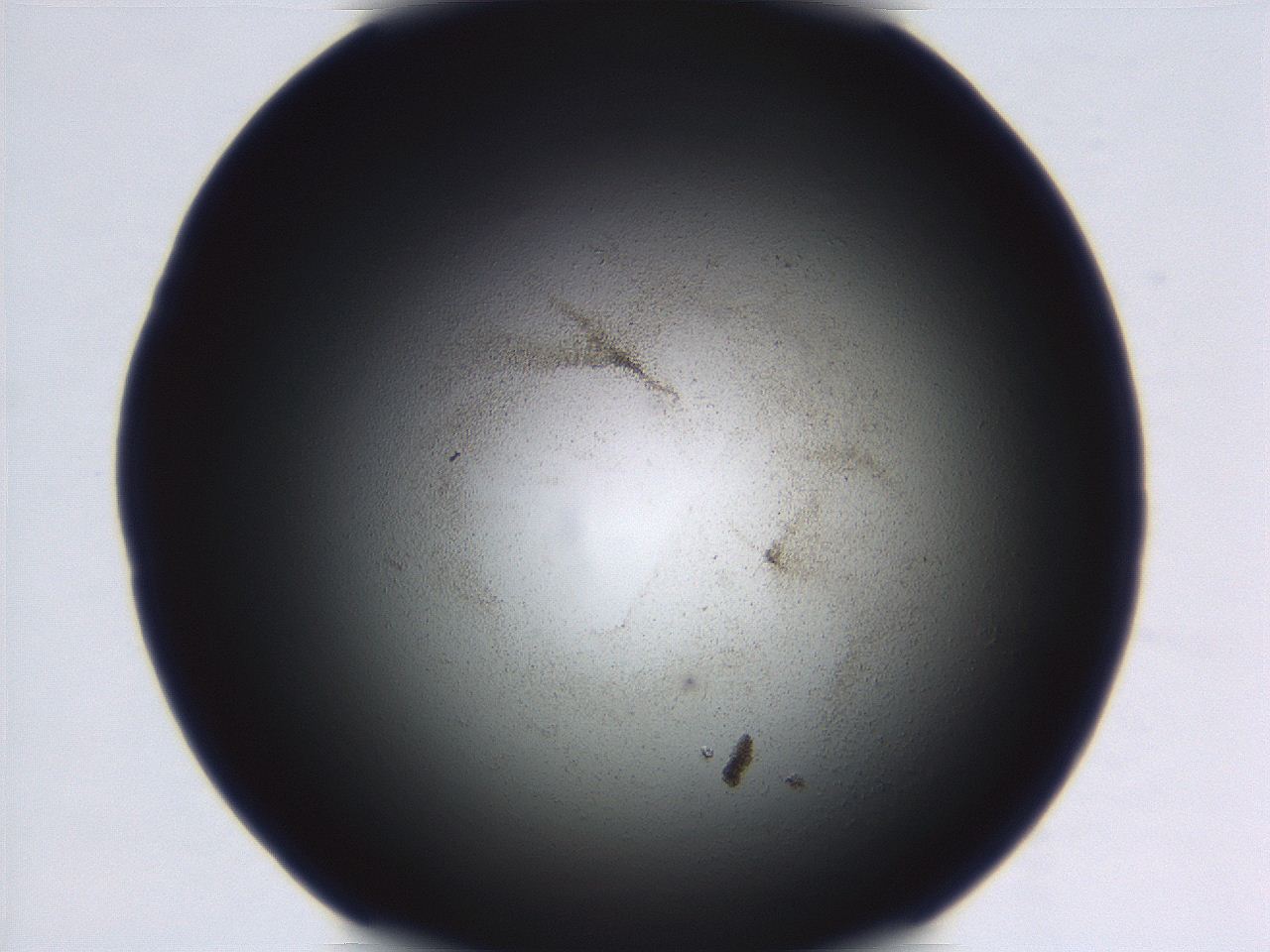 069r_D6_ImagerDefaults_3.jpg