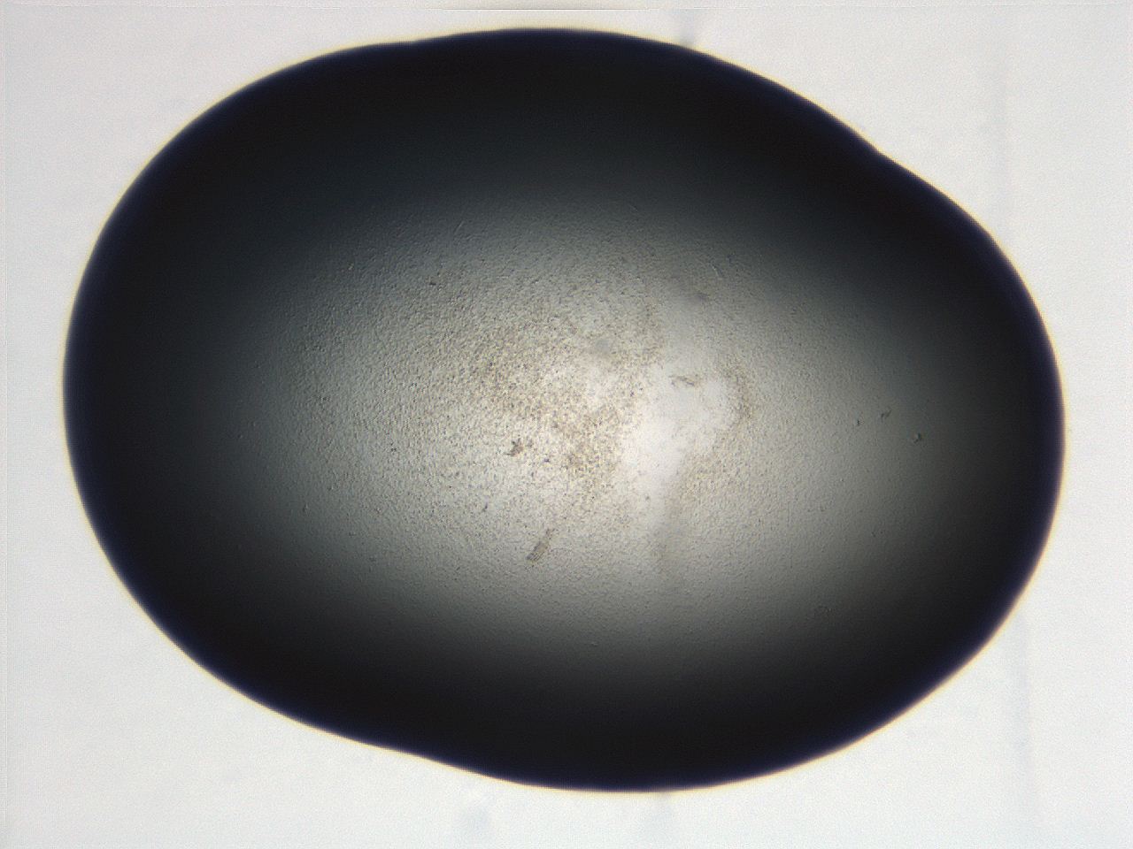 069r_E5_ImagerDefaults_3.jpg