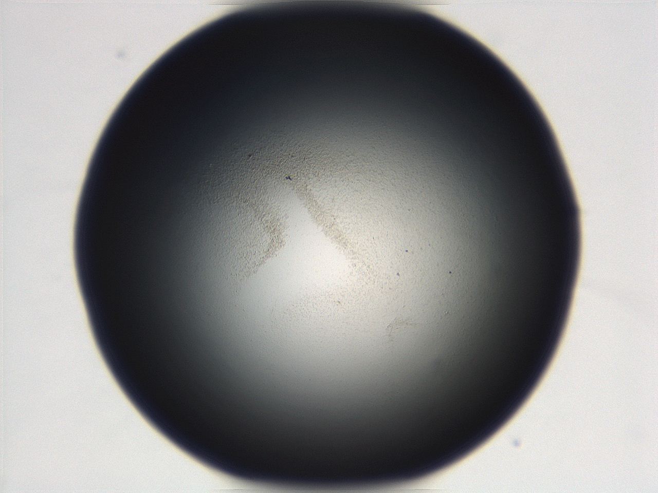069r_D8_ImagerDefaults_3.jpg