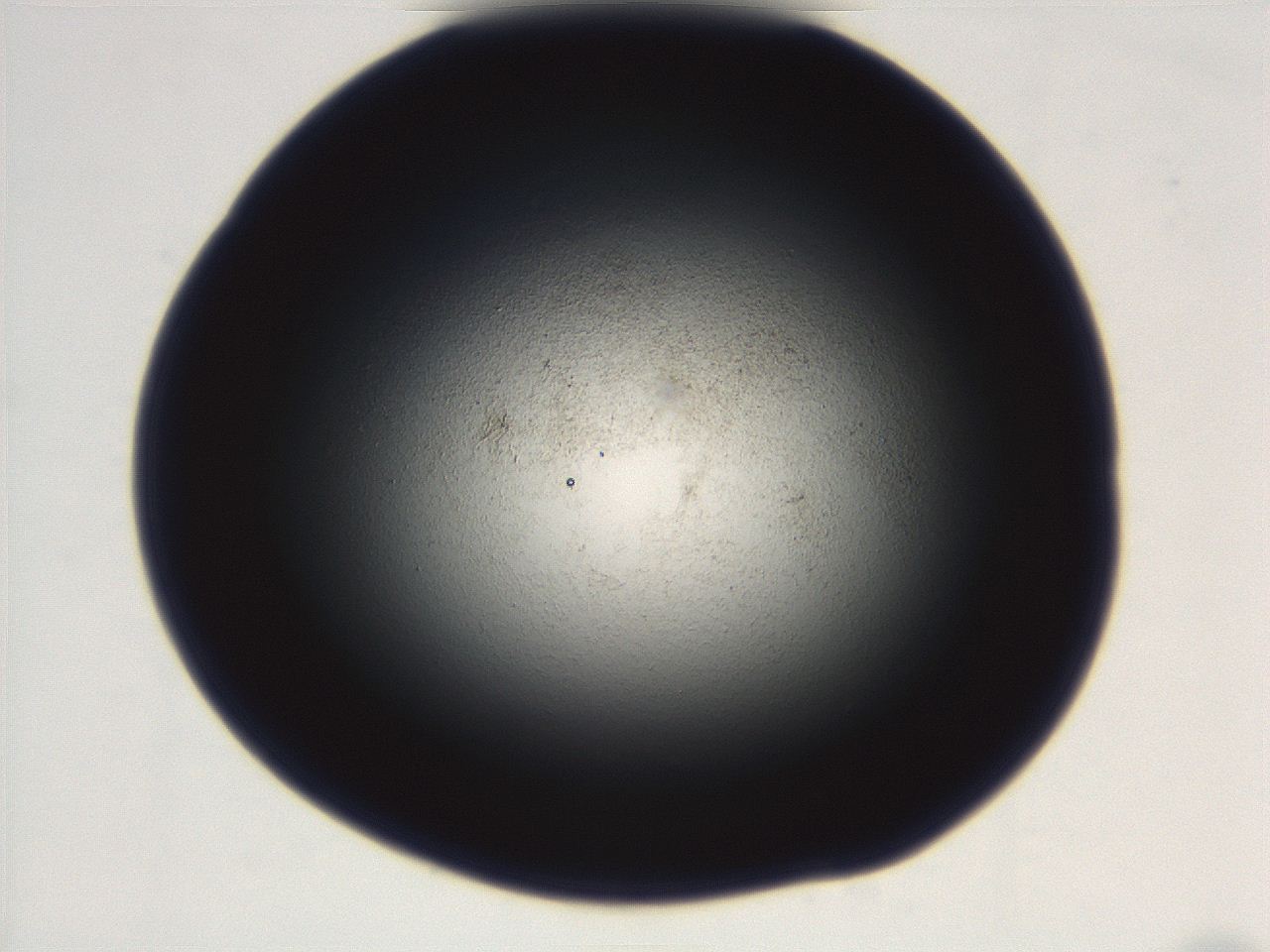 069r_E3_ImagerDefaults_3.jpg