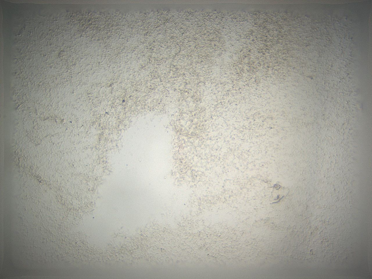069r_E1_ImagerDefaults_3.jpg