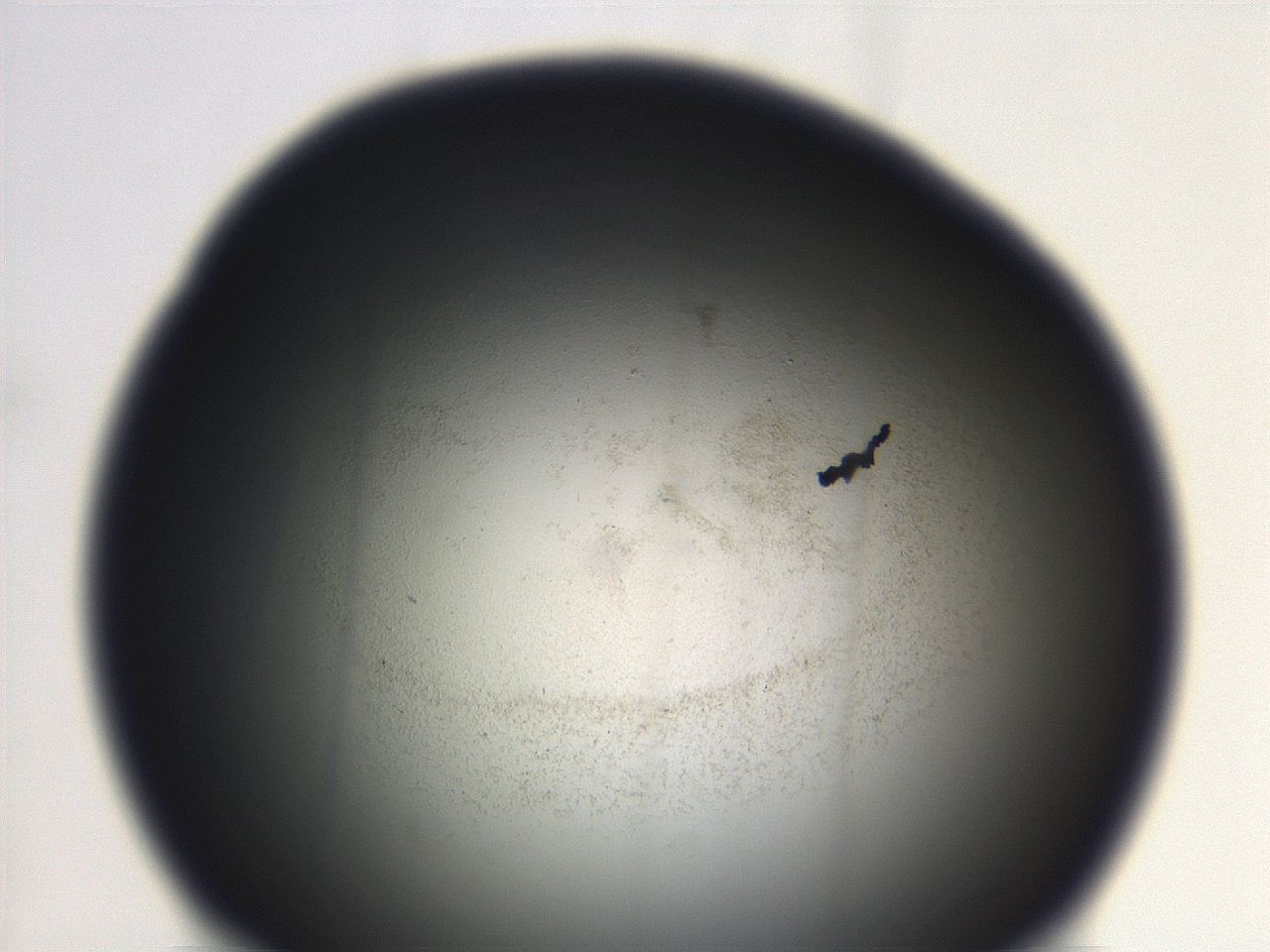 069r_E12_ImagerDefaults_3.jpg