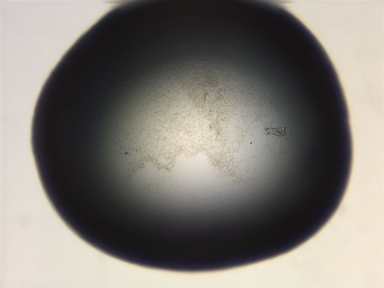 069r_F1_ImagerDefaults_3.jpg