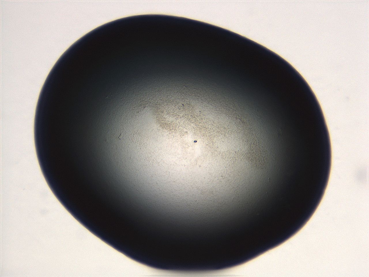 069r_F3_ImagerDefaults_3.jpg