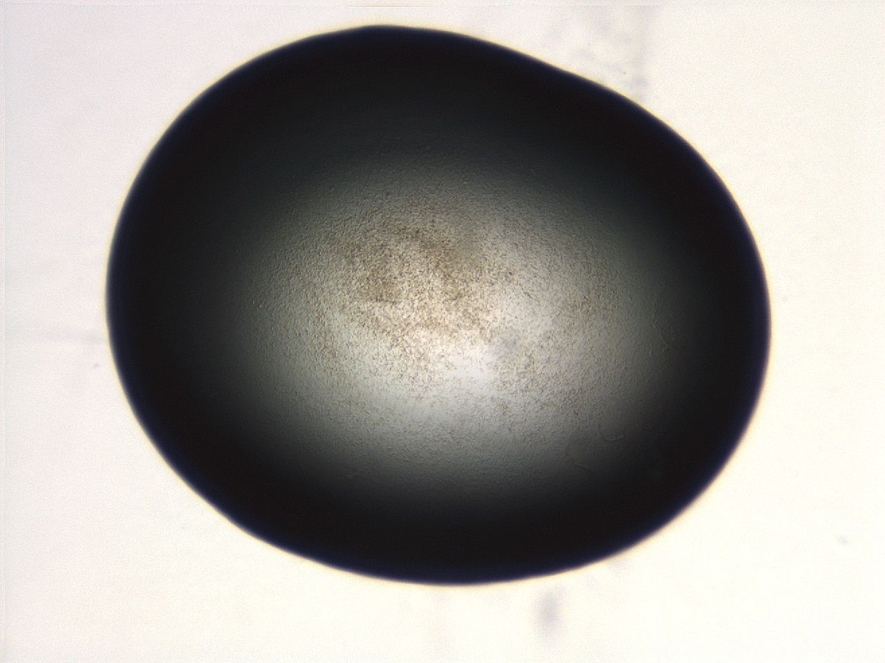 069r_F4_ImagerDefaults_3.jpg